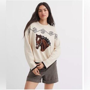 Ann Taylor Horse Head Oversized Sweater